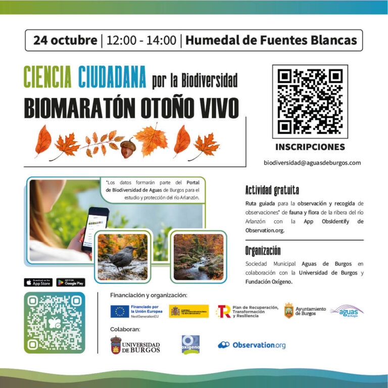 Biomaratón Otoño Vivo: descubre y registra la biodiversidad del río Arlanzón